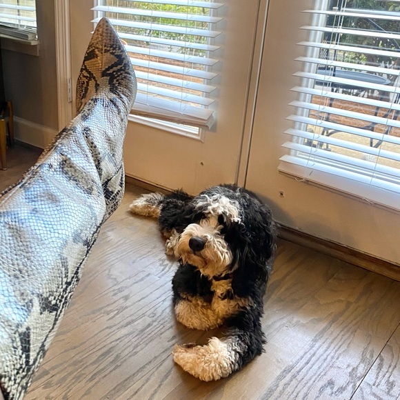 Schultz snakeskin boots - Picture 3 of 4